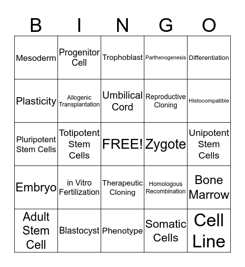Stem Cell Research Bingo Card