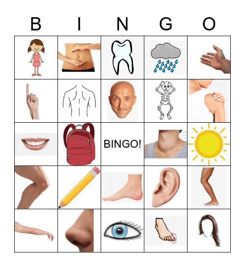 BODY PARTS & others Bingo Card