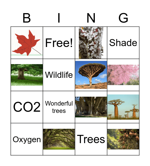 TREES AROUNF THE WORLD Bingo Card