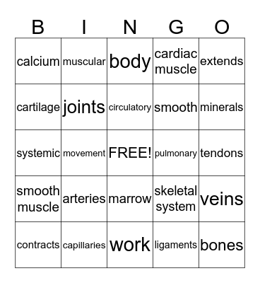 YOUR BODY SYSTEMS Bingo Card