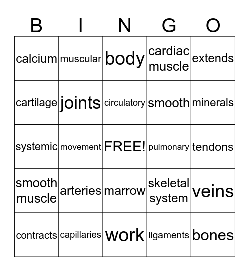 YOUR BODY SYSTEMS Bingo Card