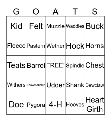 PYGORA BINGO! Bingo Card