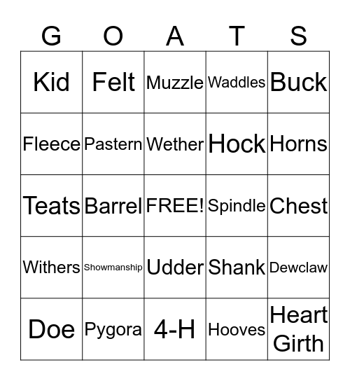 PYGORA BINGO! Bingo Card