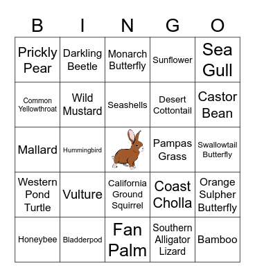 Newport Bay Bingo Card