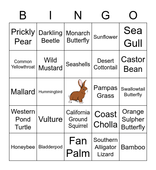 Newport Bay Bingo Card