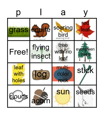 Nature Bingo Card