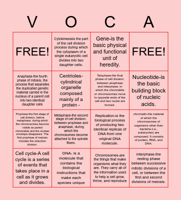 Unit  5 vocabulary Bingo Card