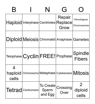 Cell Division Bingo Card