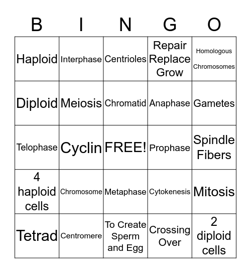 Cell Division Bingo Card