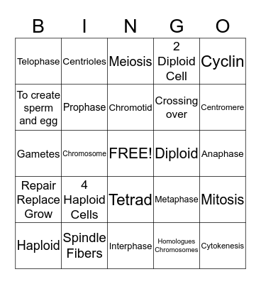 Cell Division Bingo Card