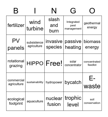 Sustainability Review Bingo Card