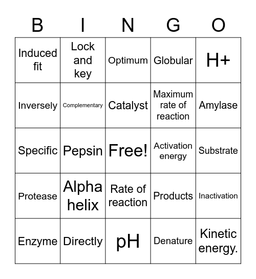 Enzymes Bingo Card