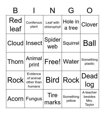 Nature Scavenger Hunt Bingo Card