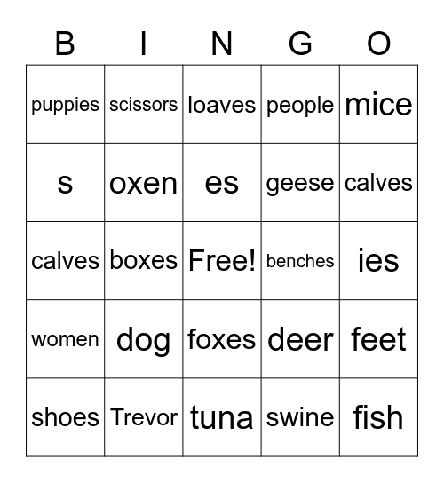 Nouns Bingo Card