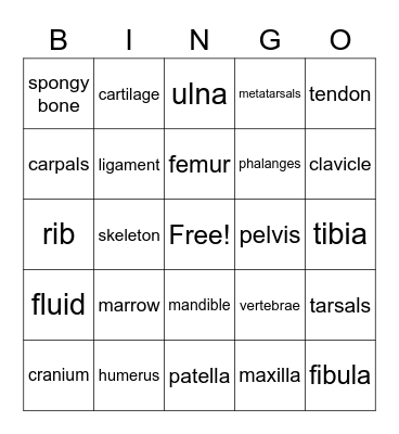 Skeletal system Bingo Card