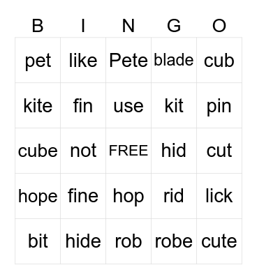 Silent -e Bingo Card