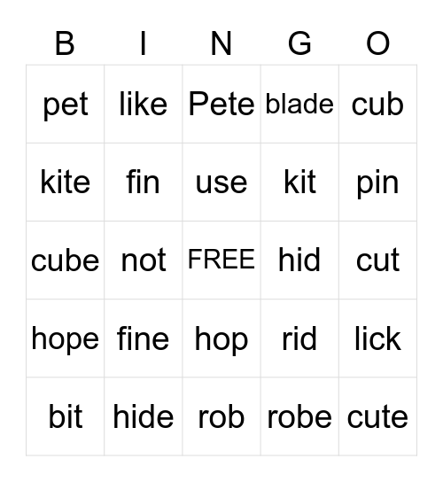Silent -e Bingo Card