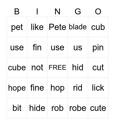 Silent -e Bingo Card