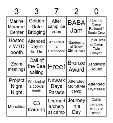 Troop 33720 BINGO Card