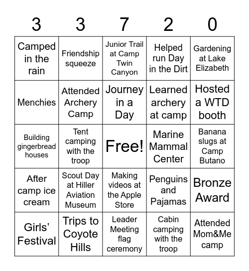 Troop 33720 BINGO Card