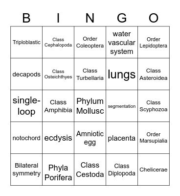 Animals Bingo Card