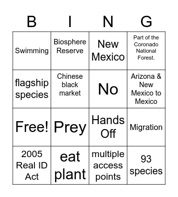 Jaguar and the Wall Bingo Card