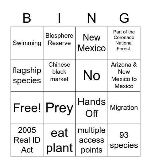 Jaguar and the Wall Bingo Card