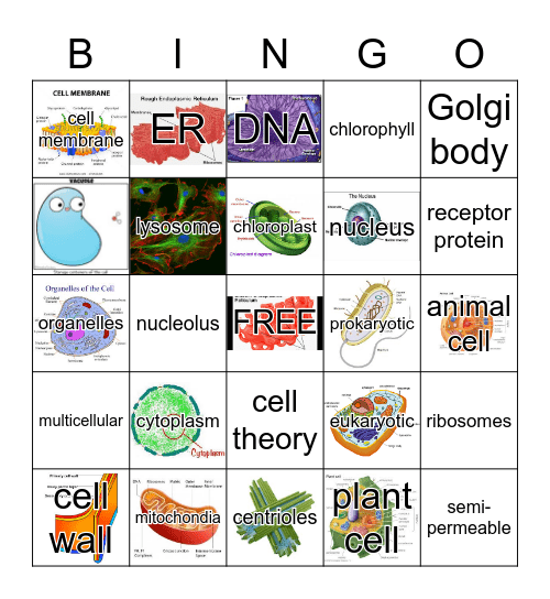 CELL BINGO Card