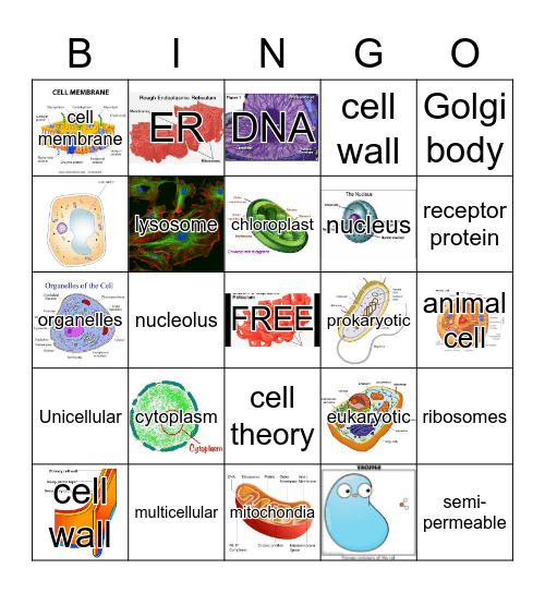 CELL BINGO Card