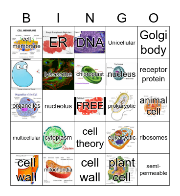 CELL BINGO Card