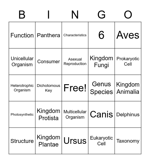 Classification Bingo Card