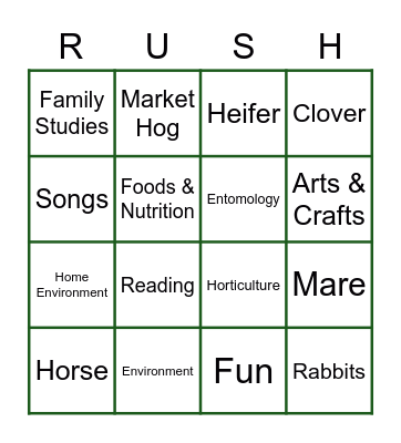 Rush County 4-H Bingo Card