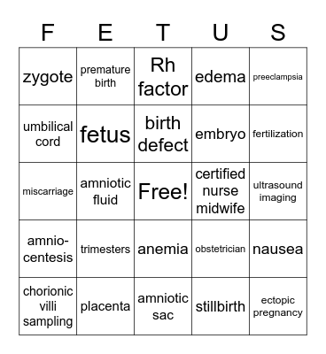 Prenatal Development & Pregnancy Bingo Card