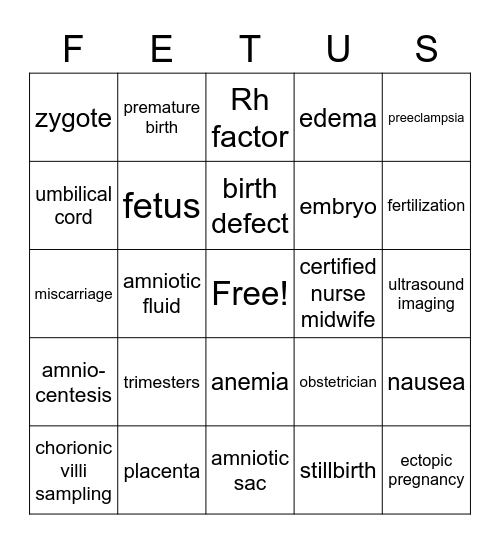 Prenatal Development & Pregnancy Bingo Card