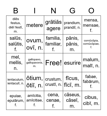 Thanksgiving Vingo! Bingo Card