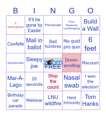 USA 2020 Bingo Card