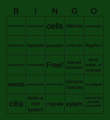 Animals, Protist, Fungi, Plants Bingo Card