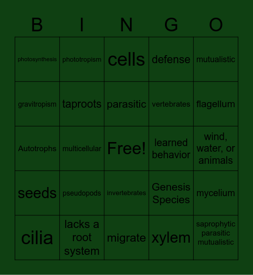 Animals, Protist, Fungi, Plants Bingo Card