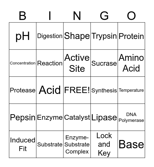 Enzyme Bingo Card