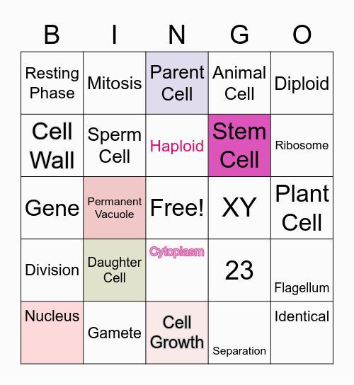 Cell Cycle Bingo Card