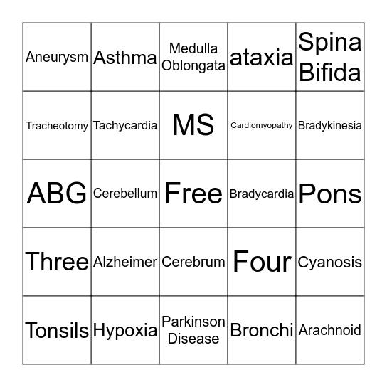 Anatomy Final Card #2  Bingo Card