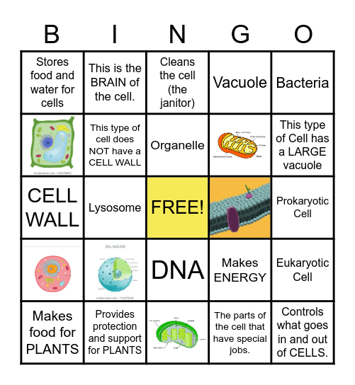 CELL Bingo Card