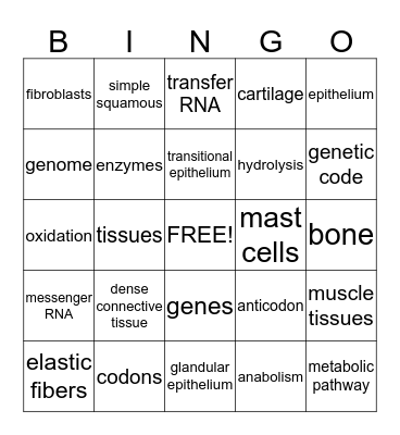 Ch. 4-5 Anatabingo Card