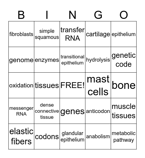 Ch. 4-5 Anatabingo Card