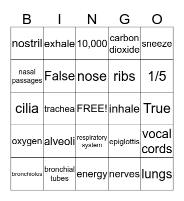 Respiratory System Bingo Card