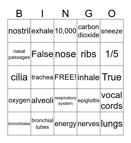 Respiratory System Bingo Card