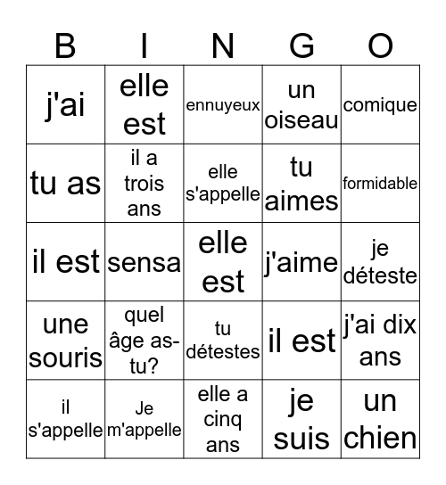 Les Expressions communs Bingo Card