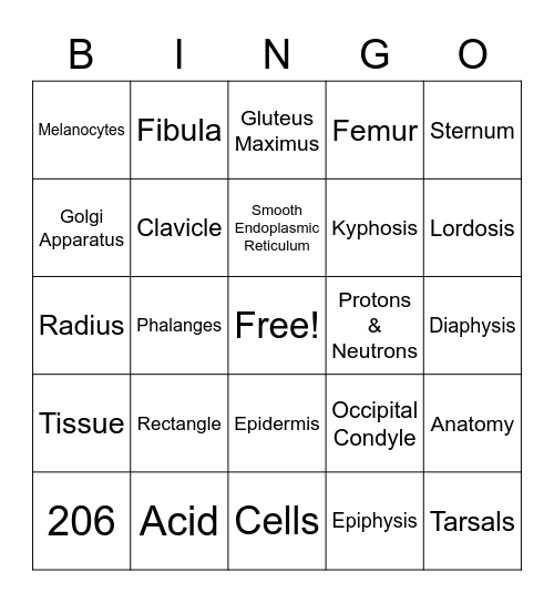 Anatomy Final Bingo Card
