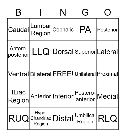 Chapter 3 Directional Terms Planes Positions Regions Bingo Card