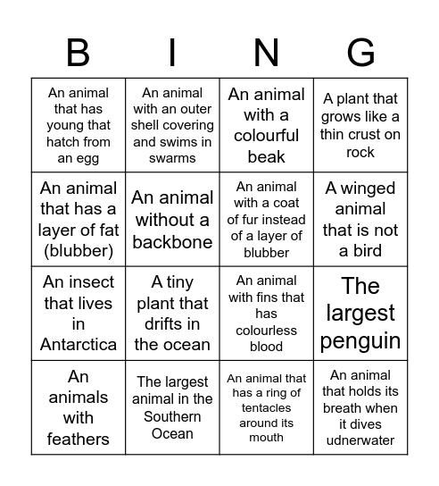 Antarctica Animal Bingo Card